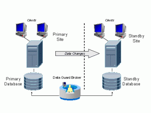 Data Guard Comparison